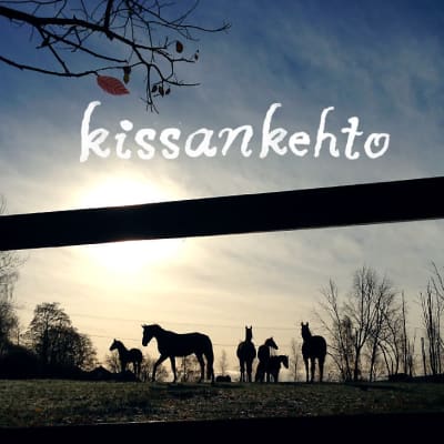 Kissankehto: Oli hyvä, että metsän takana kulki valtatie