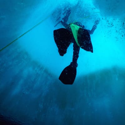 Dykare samlar in forskningsmaterial under isen i Antarktis.