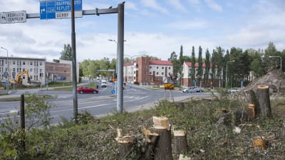Trädavverkning invid vägkorsning i Vasa.