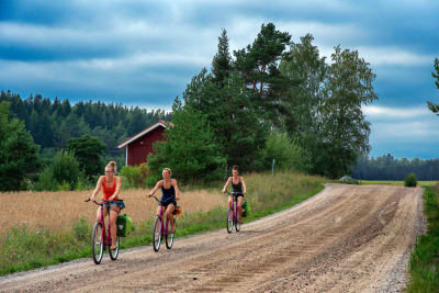 Tre kvinnor cyklar i Nagu på Skärgårdens ringväg.