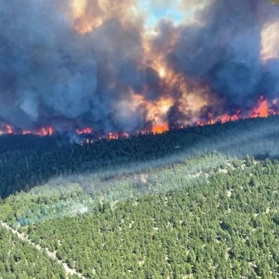Bilden som togs på onsdagen visar en av de pågående skogsbränderna i British Columbia.