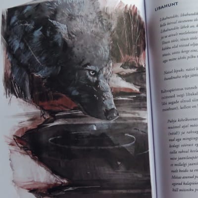 Kirjan aukeama, jonka vasemmalla sivulla on susi kumartuneena juomaan vettä ja oikealla vironkielistä tekstiä ihmissusista. 