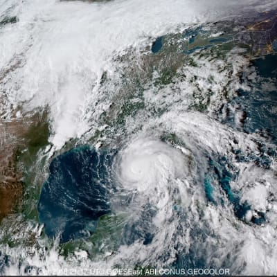 Satellitbild på orkanen Michael på väg in mot land.