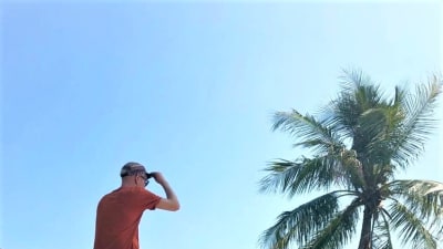 Mies istuu hajareisin poikittain meren päällä kasvavan palmun rungolla.