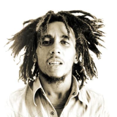 Bob Marley, reggaekung