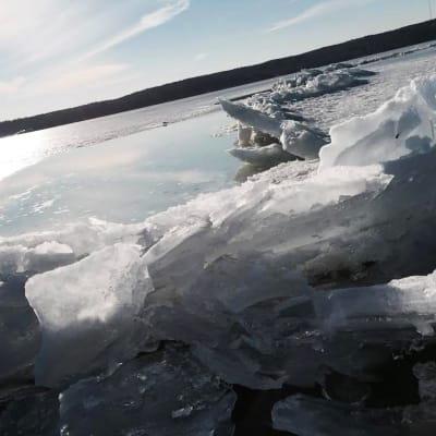 Railo halkoo Vesijärven jäätä.