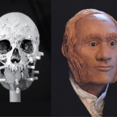 Pääkallo ja 3D-malli punatukkaisen, tuuheapulisonkisen miehen kasvoista. 