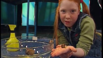 En flicka håller i en snigel i tv-programmet Oppåner å hitådit.