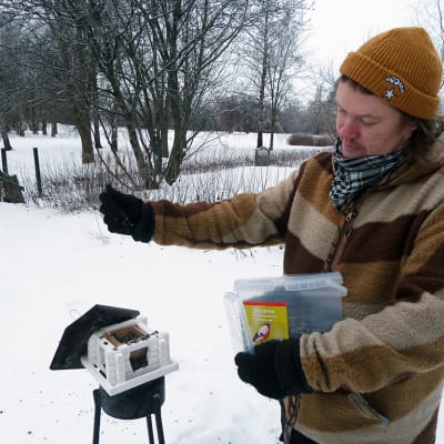 Oululainen Ilkka Mikkonen laittaa siemeniä lintulaudalle.