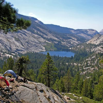 Näkymä Yosemiten kansallispuistoon.