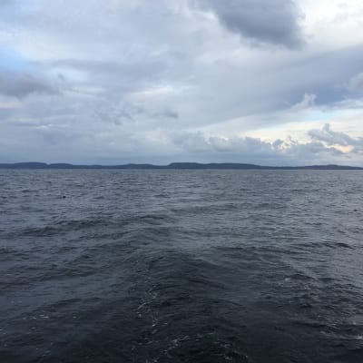 Suursaari