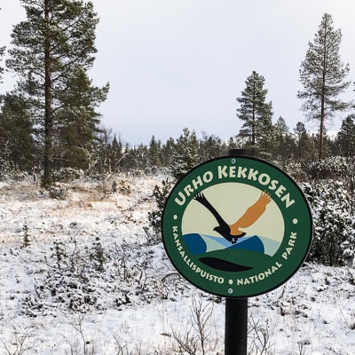 Urho Kekkosen kansallispuisto luminen maisema.