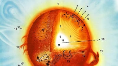 Bild som beskriver vilka beståndsdelar en sol består av.