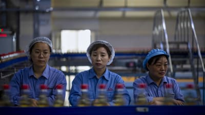 Kinesiska fabriksarbetare stod vid det löpande bandet i en vinägerfabrik i Zhenjiang den 12 oktober. 