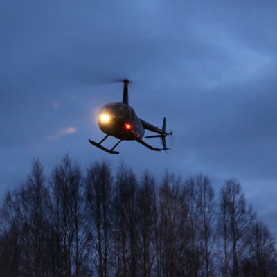 Helikopteri lentää puiden latvojen yläpuolella