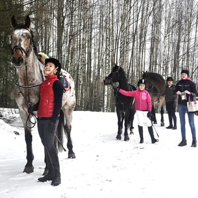 Hevosia ja taluttajia ulkona talvella.