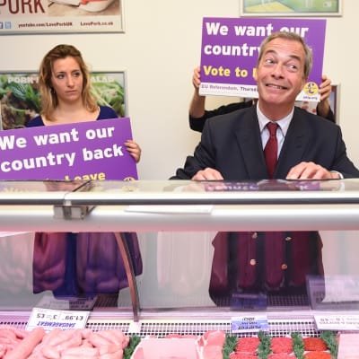 Nigel Farage ilmeilee lihatiskin takana. Vieressä kannattajia, joiden kylteissä lukee englanniksi: "Haluamme maamme takaisin". 