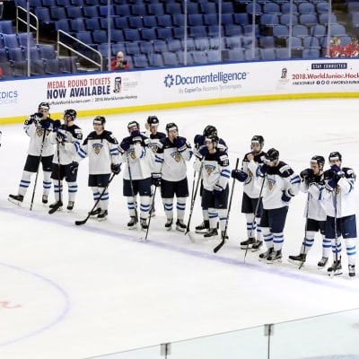 nuoret leijonat suomi