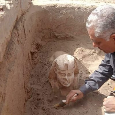 En sfinx grävs fram nära templet Dendera i Qina i Egypten.