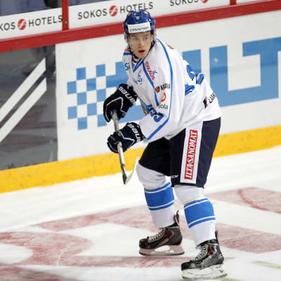 jonas enlund leijonat