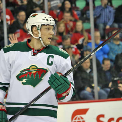 Mikko Koivu