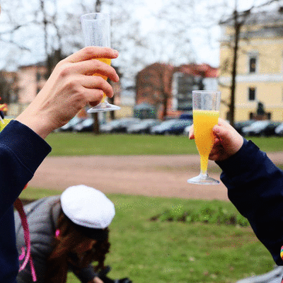 Kippis