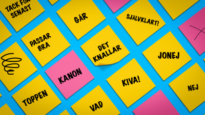  Post-it-anteckningar med ord rikssvenskt och finlandssvenskt.