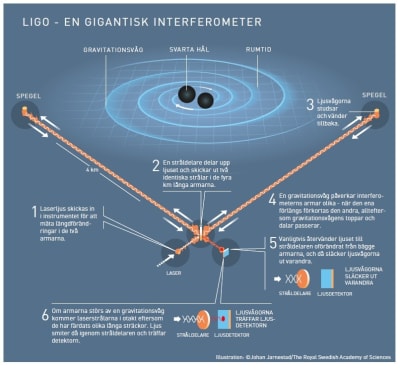Grafisk förklaring av gravitationsvågor.