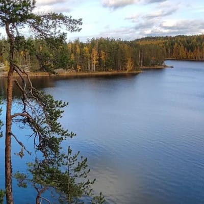 Norppapolun korkeimmilta kohdilta avautuu upea järvimaisema. Puiden takaa näkyy Saimaa ja saaressa ruskaa.