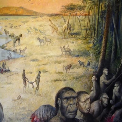 Piirroskuvassa esi-ihmisiä ja eläimiä, muun muassa kirahveja ja antilooppeja, joen varressa. 