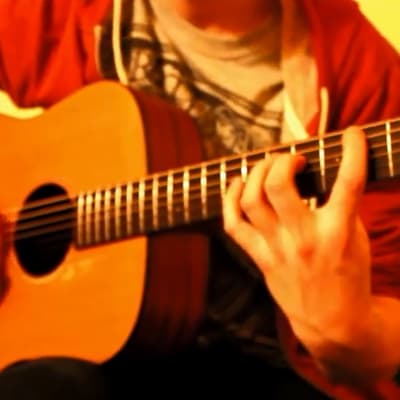 Conny Berghälls youtubevideo "Revolution"