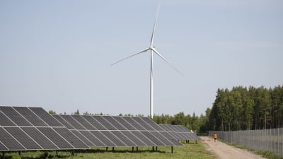 Solpaneler i en solpark. I bakgrunden syns en vindturbin.
