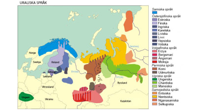 De uraliska språkens geografiska utbredning.
