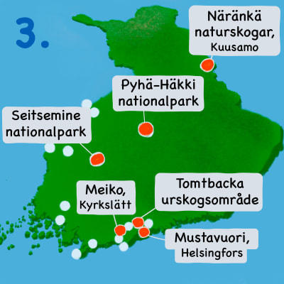 Karta över Finland med Meiko, Seitsemine, Tomtbacka, Mustavuori, Pyhä-Häkki och Näränkä markerade.