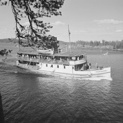 Kuvassa höyrylaiva Tarjanne seilaa vesillä. Laivan kannella on matkustajia. Etualalla näkyy männyn oksia.