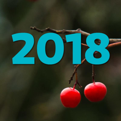 Vintriga bär och texten "2018"
