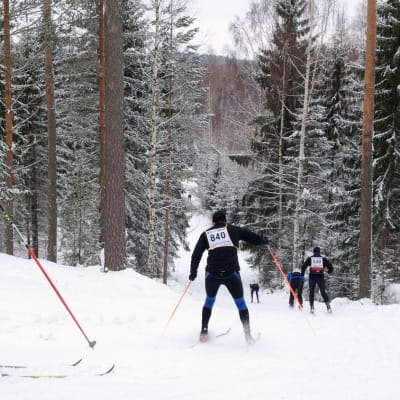 Finlandia-hiihtäjiä ladulla. 