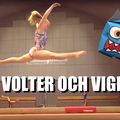 Volter och vighet