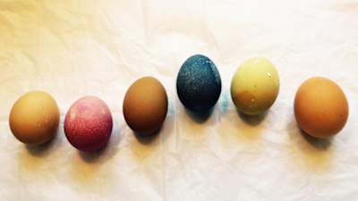 Pikku Kakkonen: Luomuvärjäys