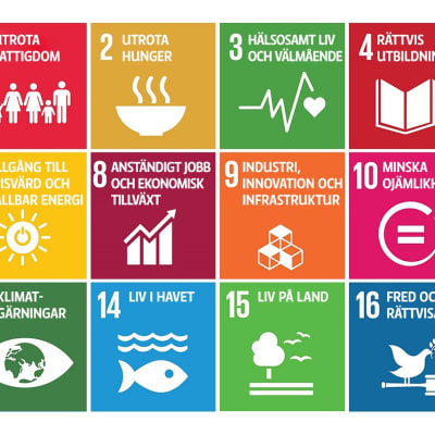 FN:s utvecklingsmål, agenda 2030