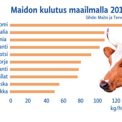 Maidon kulutus maailmalla 2011 -grafiikka.