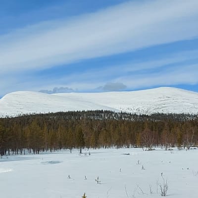 Pirunportti Urho Kekkosen kansallispuistossa