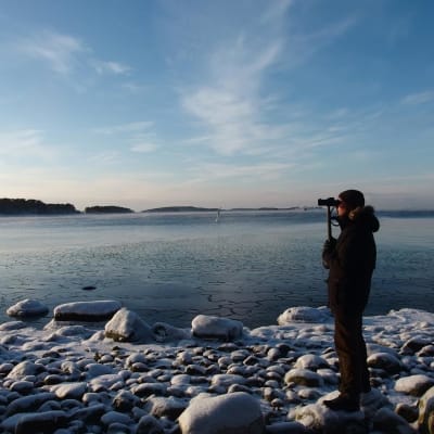 Ornitolog räknar sjöfåglar i Kimitoön