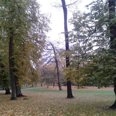 Park i Helsingfors 20.10.2014