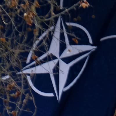 Natoländernas flaggor på paradgatan The Mall i London