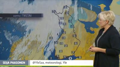 Seija Paasonen förevisar vädret 2015.