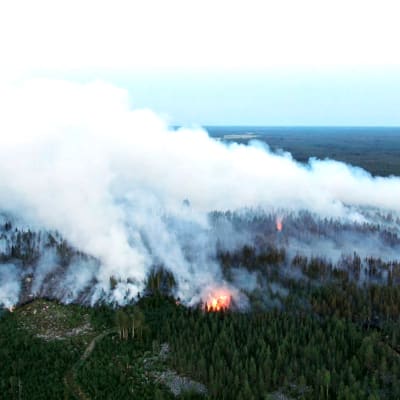 Ilmakuva Kalajoen maastopalosta.