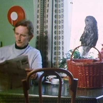 Anthony Bosley lukee sanomalehteä. Pöllö tarkkailee tilannetta.
