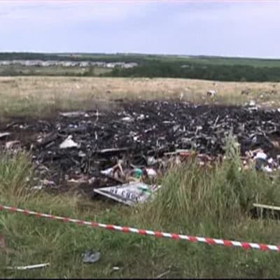 Olycksplatsen där MH17 kraschade 2014.