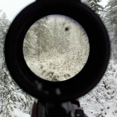 Näkymä kiikarin läpi hirvipassissa.